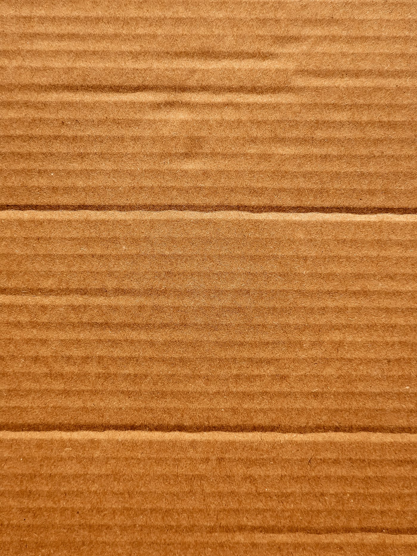 Close-up of corrugated board edge showing flute structure